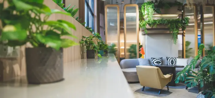 Le coworking est-il une solution plus verte ? Avantages & limites