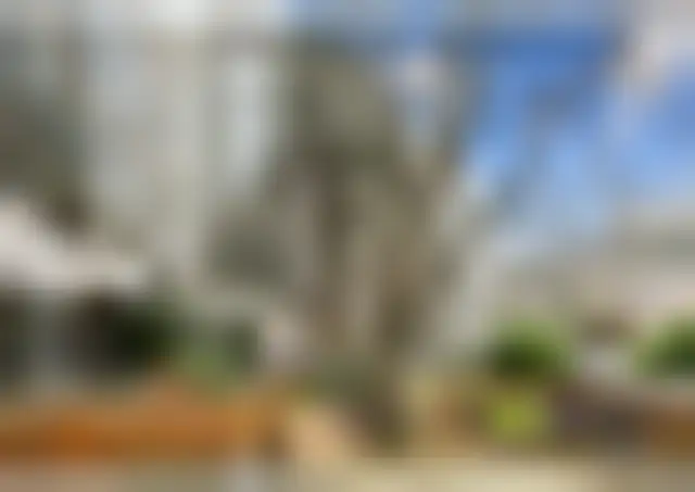 Bureau 330 m² – Neuilly-sur-Seine (92200) – offre confidentielle