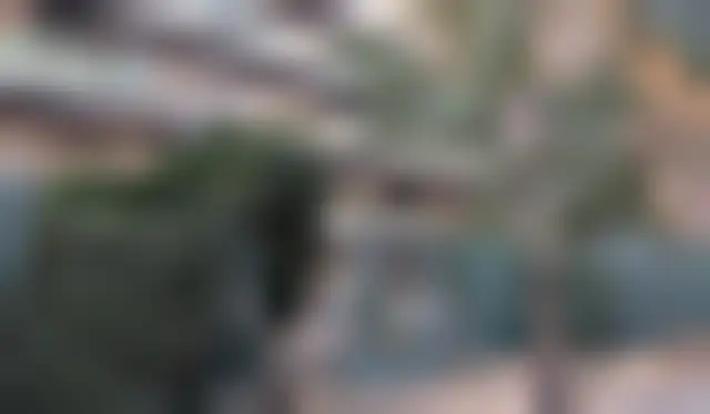 Bureau 300 m² – Paris (75011) – offre confidentielle