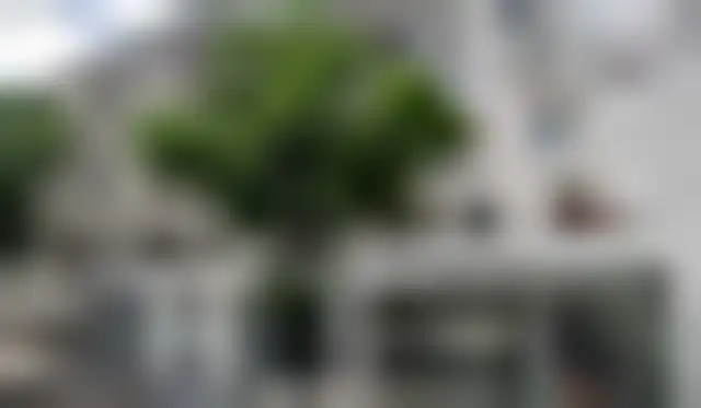Commerce 4 580 m² – Paris (75015) – offre confidentielle