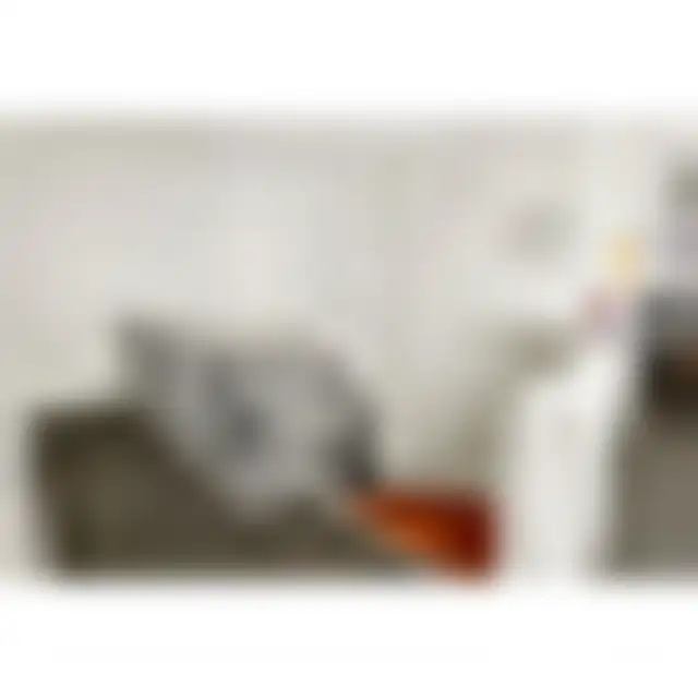 Bureau 290 m² – Paris (75002) – offre confidentielle