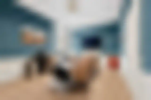 Bureau 180 m² – Paris (75008) – offre confidentielle