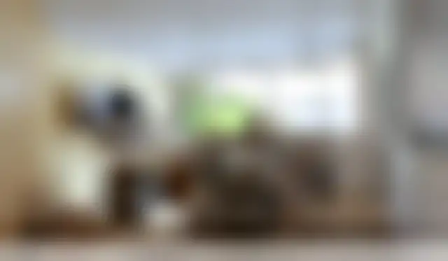 Bureau 250 m² – Paris (75008) – offre confidentielle
