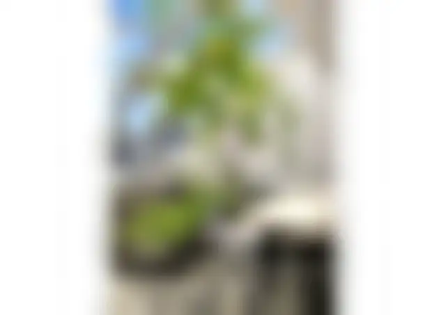 Bureau 300 m² – Levallois-Perret (92300) – offre confidentielle