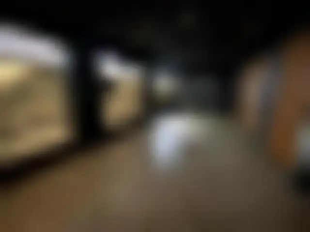 Commerce 170 m² – Paris (75015) – offre confidentielle