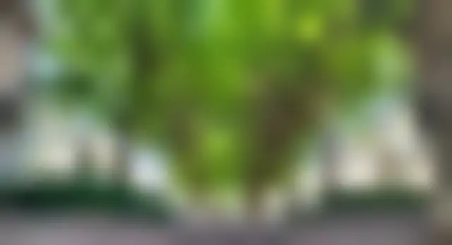 Local Professionnel 90 m² – Paris (75008) – offre confidentielle