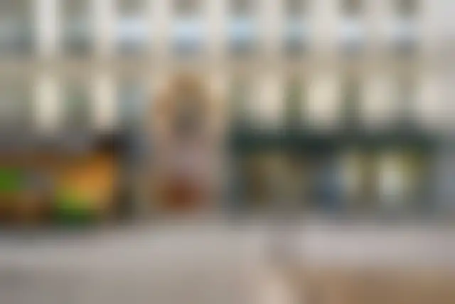 Bureau 70 m² – Paris (75015) – offre confidentielle
