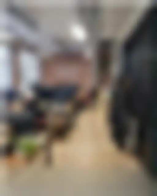 Bureau 260 m² – Paris (75004) – offre confidentielle