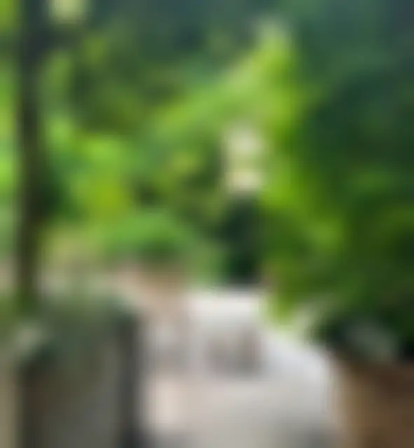 Bureau 70 m² – Paris (75007) – offre confidentielle