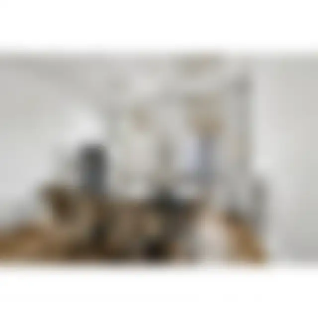 Bureau 80 m² – Paris (75016) – offre confidentielle