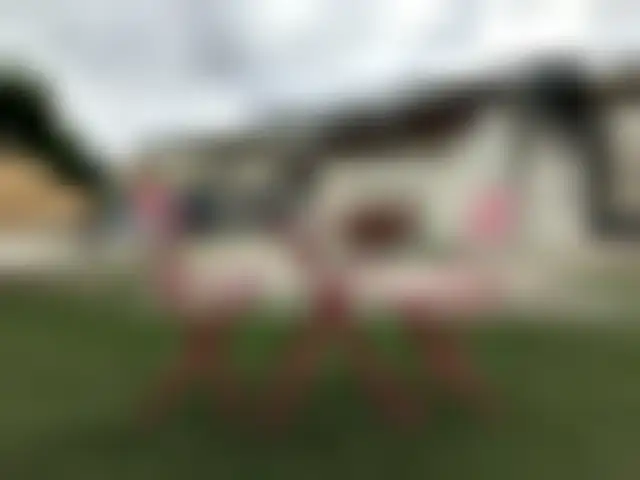 Bureau 290 m² – Versailles (78000) – offre confidentielle