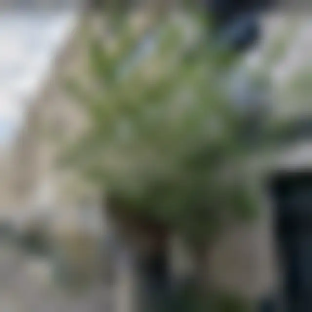 Bureau 3 430 m² – Paris (75015) – offre confidentielle