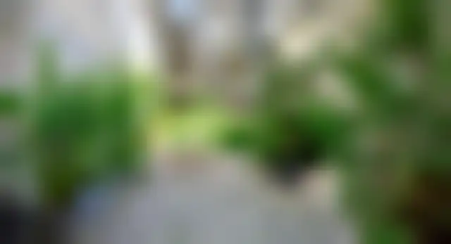Bureau 1 070 m² – Paris (75018) – offre confidentielle