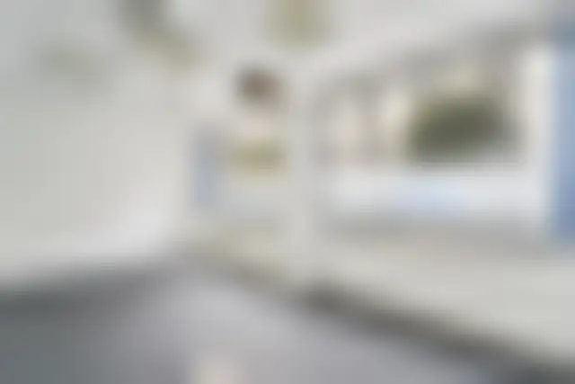 Bureau 310 m² – Levallois-Perret (92300) – offre confidentielle
