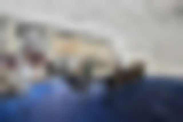 Bureau 300 m² – Paris (75015) – offre confidentielle