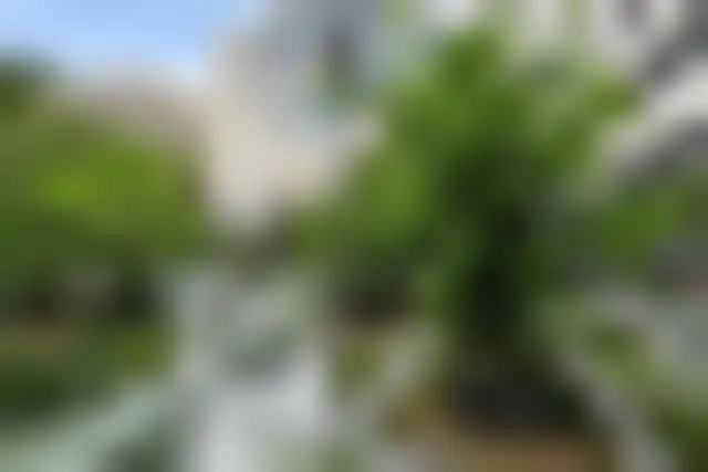 Bureau 1 600 m² – Neuilly-sur-Seine (92200) – offre confidentielle
