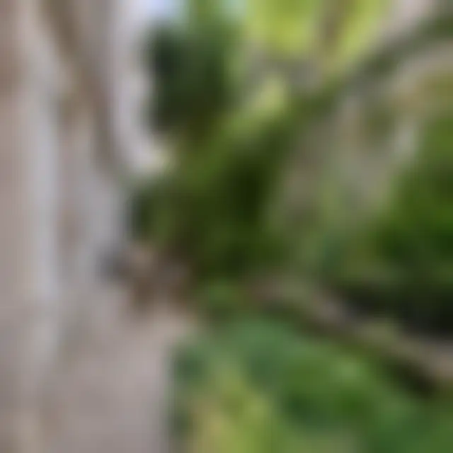 Bureau 130 m² – Paris (75009) – offre confidentielle