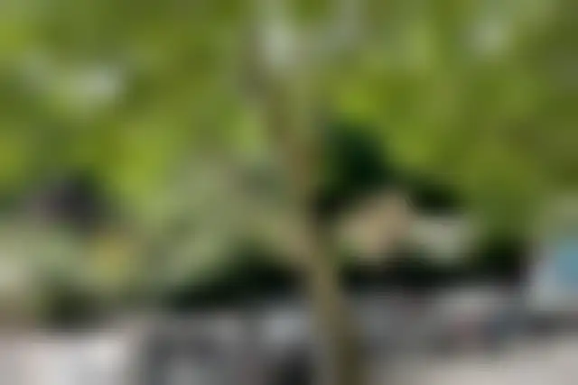 Bureau 150 m² – Paris (75003) – offre confidentielle