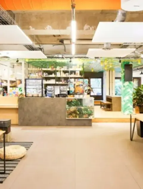 Bureau 370 m² – Paris (75012)