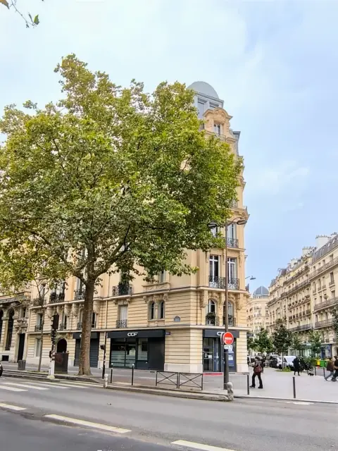 Commerce 178 m² – Paris (75012)