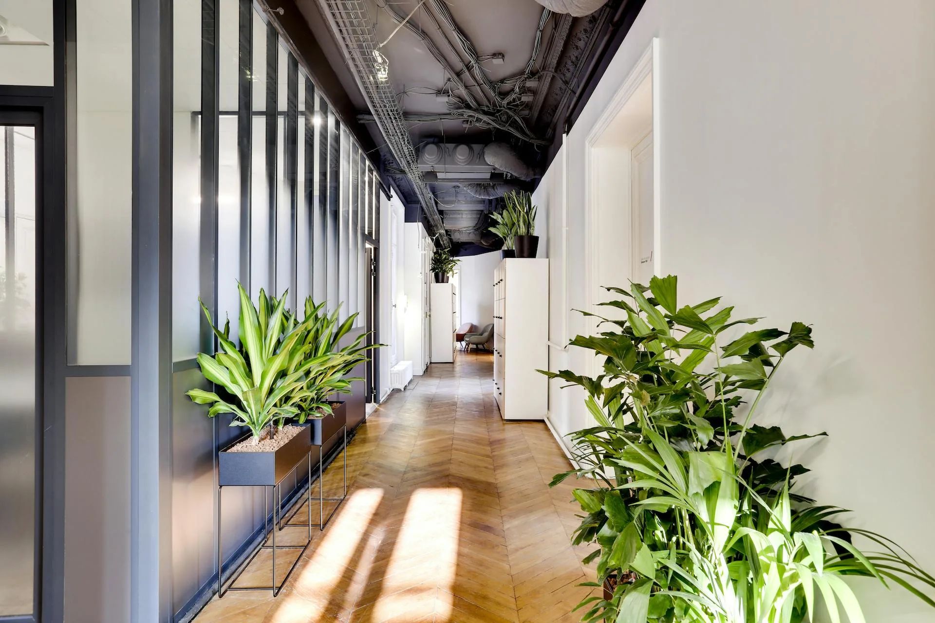 Coworking 457 m² – Paris (75009)
