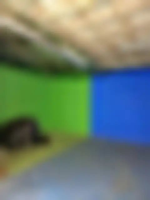 Photo 4