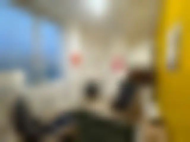 Photo 6