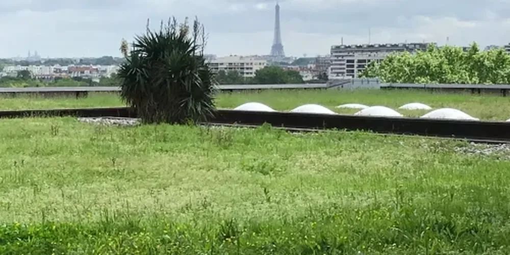 Coworking 180 m² – Suresnes (92150)