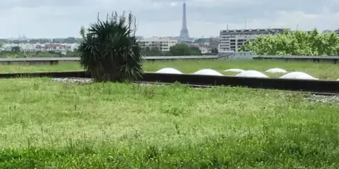 Coworking 180 m² – Suresnes (92150)